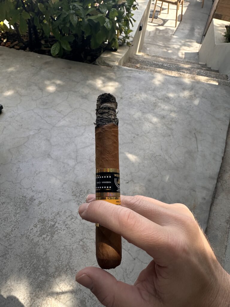 Cohiba Ideales first third